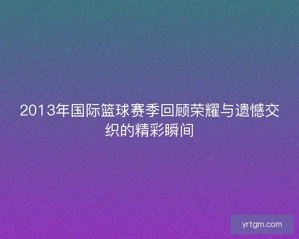 2013年国际篮球赛季回顾荣耀与遗憾交织的精彩瞬间